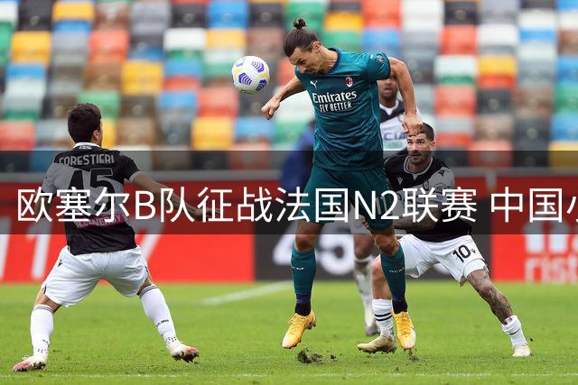 欧塞尔B队征战法国N2联赛 中国小将魏祥鑫入选阵容